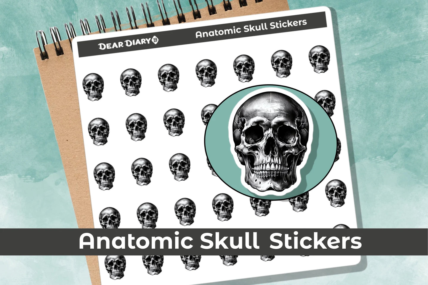 Anatomic skull planner stickers sheet ANSKL1