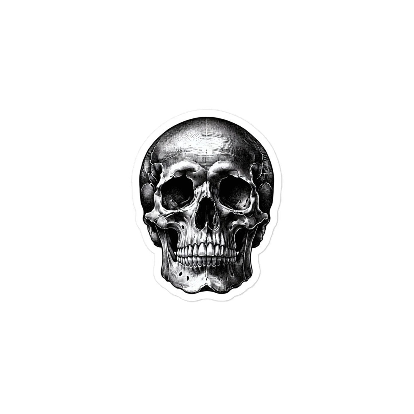 Anatomic skull planner stickers sheet ANSKL1