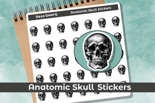 Anatomic skull planner stickers sheet ANSKL1